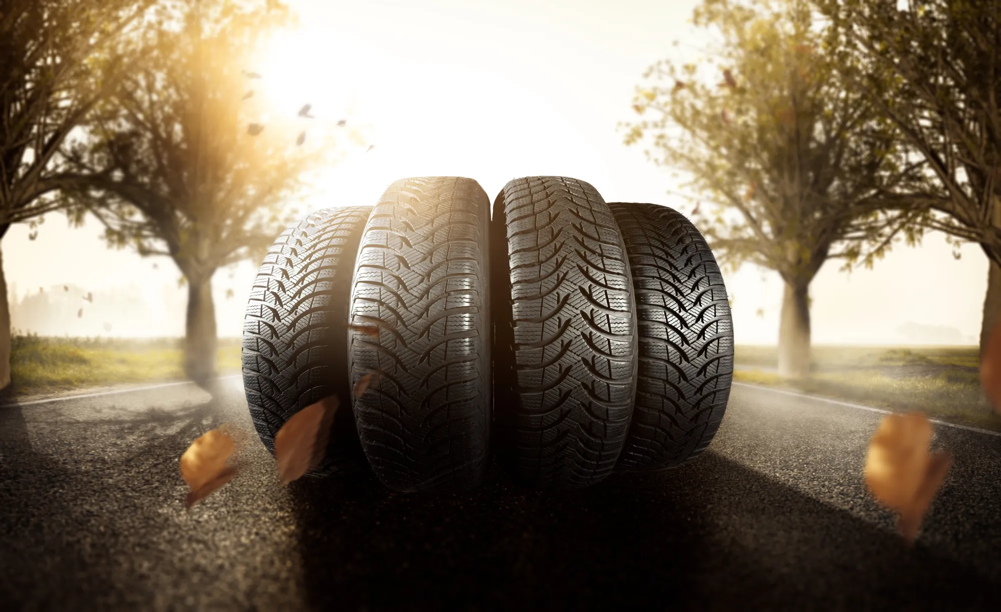 Four new tires standing in a row on a tree-lined road with autumn leaves blowing past in the morning sun.